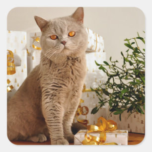 Grey Cat Golden Gifts Square Sticker