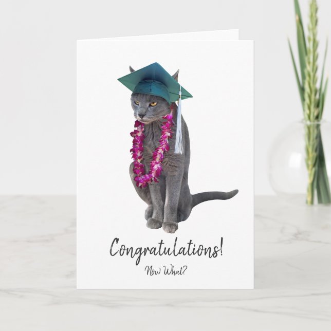 Grey Cat Graduation Card (Front)