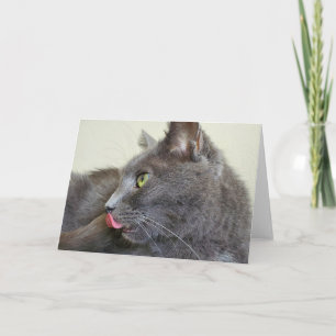 Grey cat greeting card