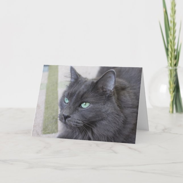 Grey cat greeting card (Front)