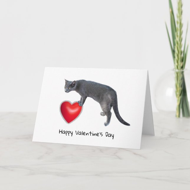 Grey Cat Holding Red Heart Valentine Card (Front)