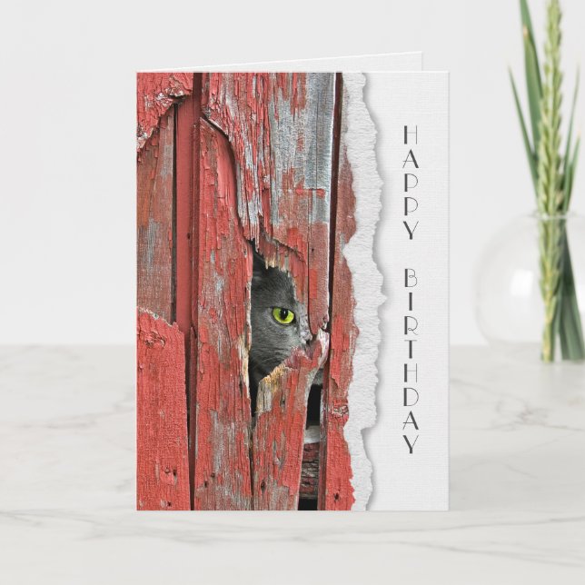Grey Cat In Barn Hole Hello Card (Front)