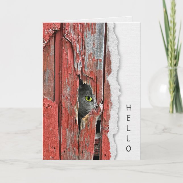Grey Cat In Barn Hole Hello Card (Front)
