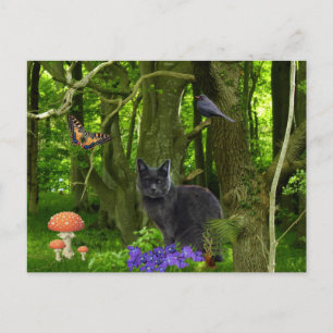 Grey Cat in the Forest Postcard