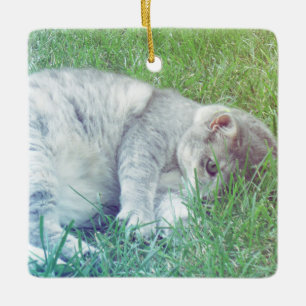 Grey Cat Lover Your Photo Christmas Ornament