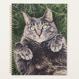 grey cat lying in the grass digital art Planner