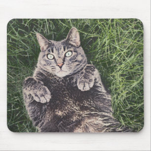 grey cat lying in the grass Mousepad