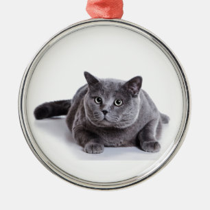 Grey Cat Metal Ornament