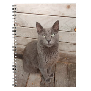 Grey Cat Notebook