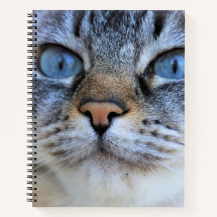 Grey Cat Notebook