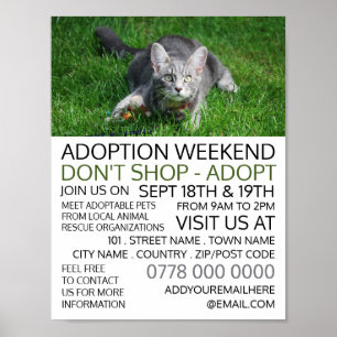 Grey Cat on Grass, Pet Adoption Event Advertising Poster