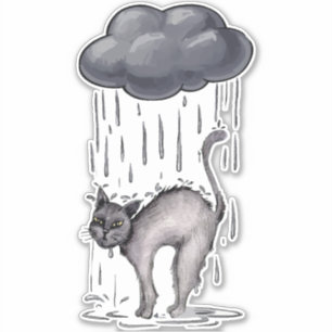 Grey Cat on Rainy Day
