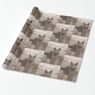 Grey cat photo wrapping paper