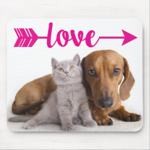 Grey Cat Puppy Dog Cute Kitten Dachshund Mouse Pad
