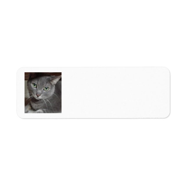 Grey Cat Return Address Label (Front)