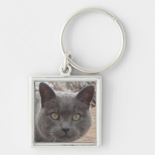 Grey cat roof keychain