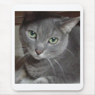 Grey Cat Russian Blue Mouse Pad