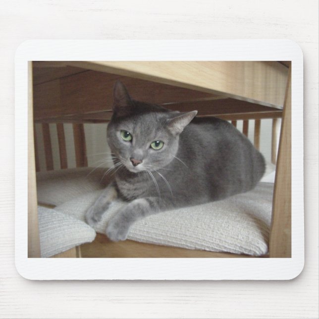 Grey Cat/Russian Blue Mouse Pad (Front)