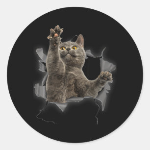 Grey Cat Torn Cloth Funny Cat Dad Cat Mum Cat Classic Round Sticker
