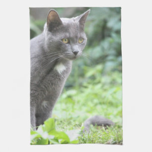 Grey Cat Towel