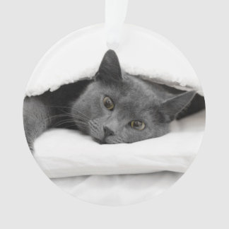Grey Cat Under White Blanket Ornament