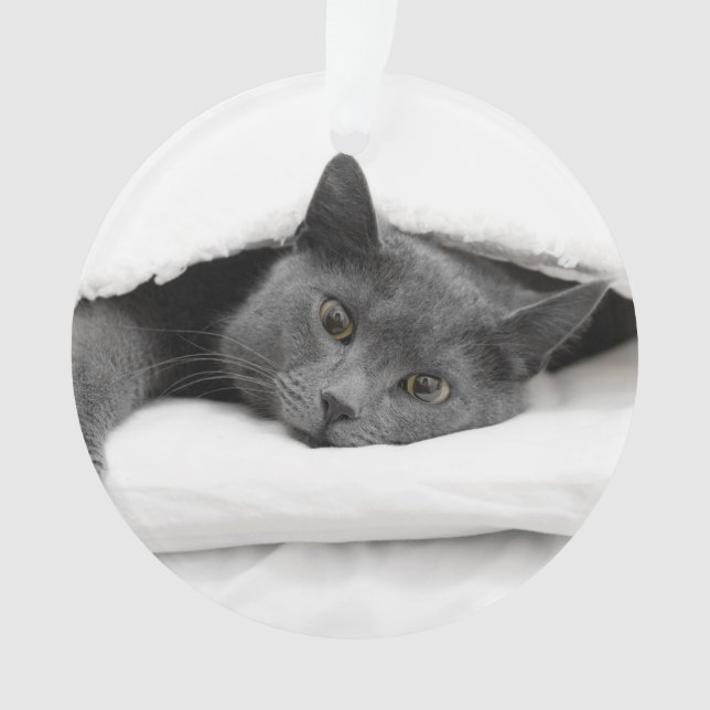 Grey Cat Under White Blanket Ornament (Front)