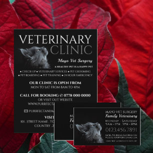 Grey Cat, Veterinarian, Veterinary Service Business Card