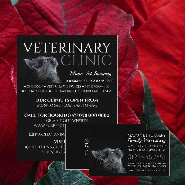 Grey Cat, Veterinarian, Veterinary Service Business Card (Creator Uploaded)