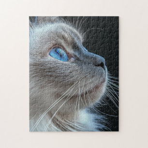 Grey cat with blue eyes jigsaw puzzle