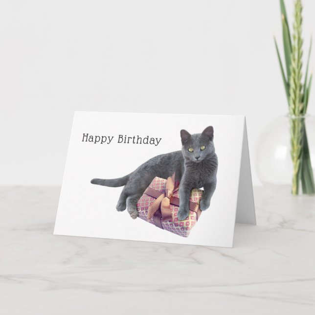 Grey Cat with Present Birthday Card (Front)