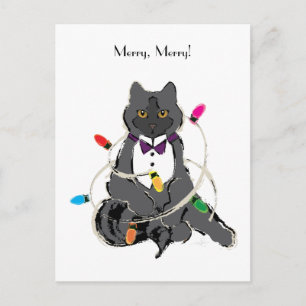 Grey Cat Wrapped In Christmas LIghts Holiday Postc Postcard