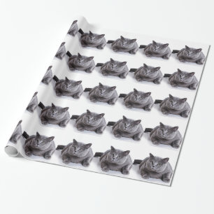 Grey Cat Wrapping Paper