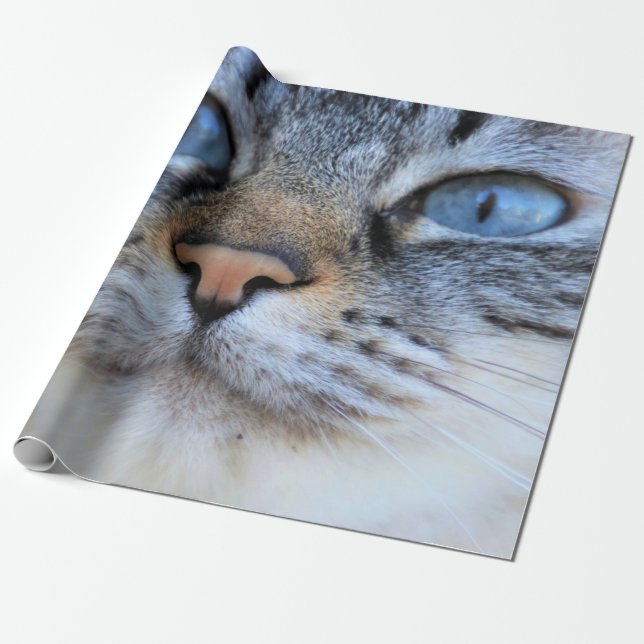 Grey Cat Wrapping Paper (Unrolled)