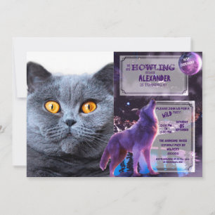 Grey cat yellow eyes invitation