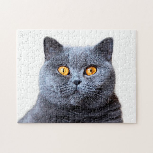 Grey cat yellow eyes jigsaw puzzle (Horizontal)