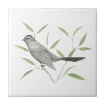 Grey Catbird Bird Art