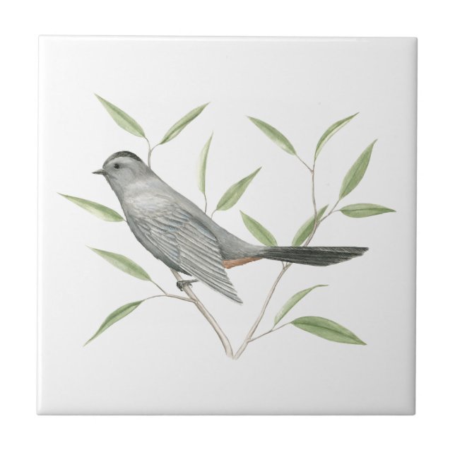 Grey Catbird Bird Art Ceramic Tile (Front)
