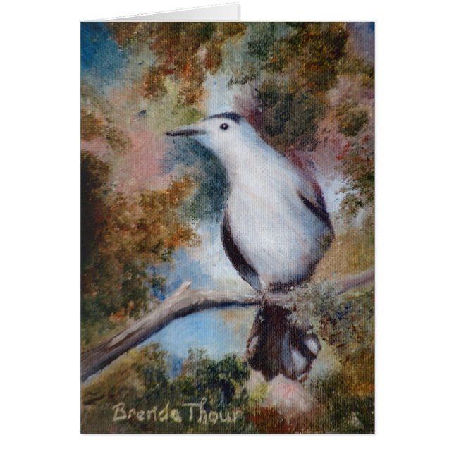 Grey Catbird Blank Card (Front)