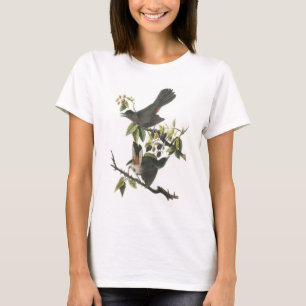 Grey Catbird by Audubon T-Shirt