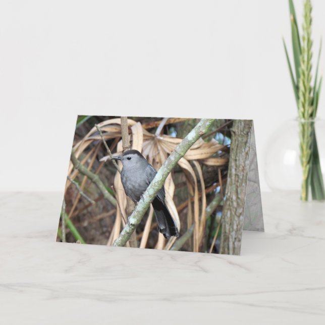 Grey Catbird Greeting Card (Front)