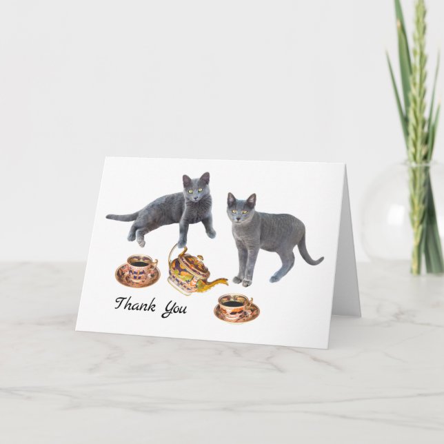 Grey Cats Having Tea Thank You Card (Front)