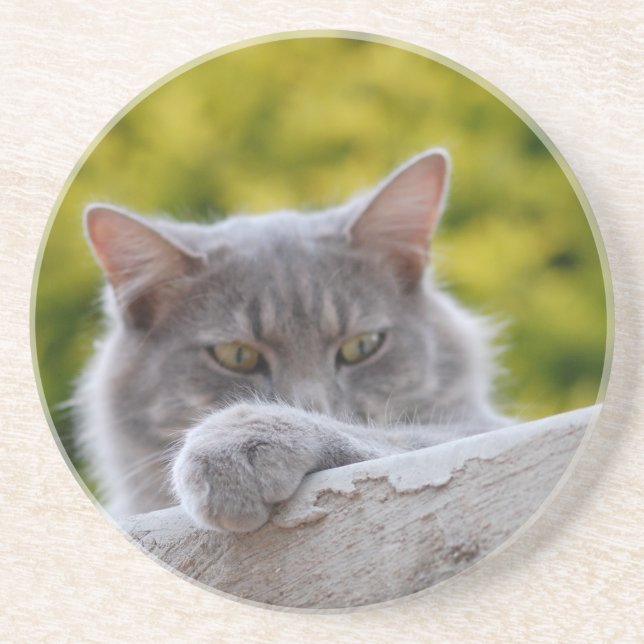 Grey Cats Paw Coaster (Front)