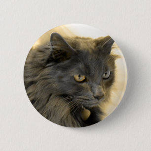 Grey Christmas Kitty IIII 6 Cm Round Badge