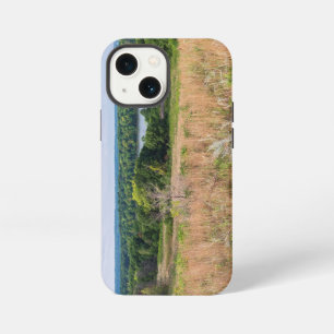 grey cloud dunes and mooers lake scenery iPhone 13 mini case