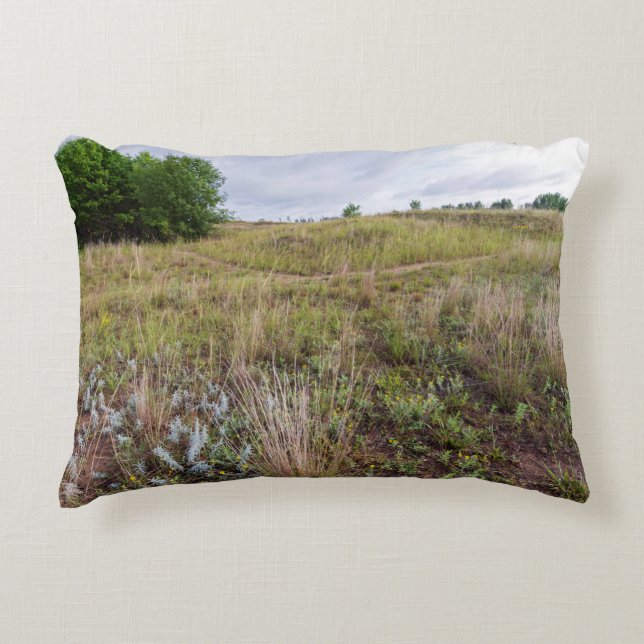 grey cloud dunes prairie landscape decorative cushion (Front)