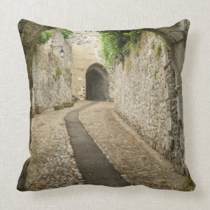 Grey Cobblestone street, France Cushion