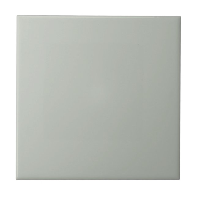 Grey Comfort Square Kitchen and Bathroom Ceramic Tile (Front)