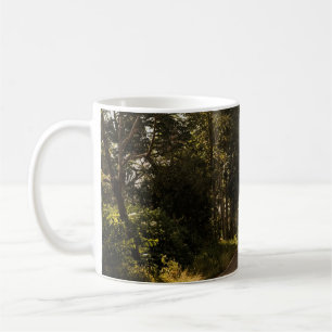 Grey concrete road in the morning coffee mug