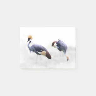 grey crowned crane bird birds animal pair couple post-it notes