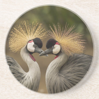 Grey Crowned Crane Coaster